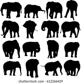 African elephant and Asian elephant silhouette contour