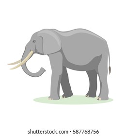 African elephant cartoon vector illustration.