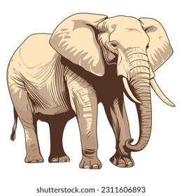 African elephant design over white