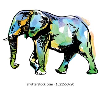 
African Elephant Drawing by hand in vintage style. Texture watercolor paint.