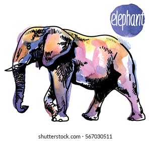 
African elephant. Drawing by hand in vintage style. The texture of the paint. Children's multi-colored pattern.