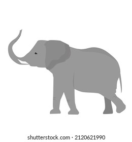 African elephant in flat style isolated on white background