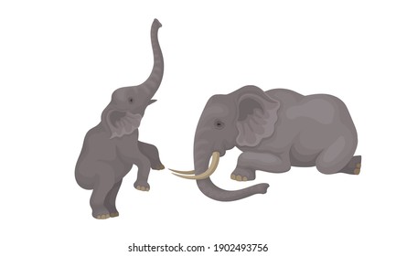 African Elephant with Grey Skin and Trunk in Different Poses Vector Set