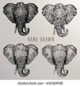African elephant. Hand drawn vector.