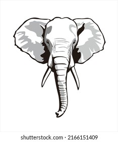     African Elephant Head vector illustration isolated on white background