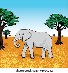 African Elephant Illustration