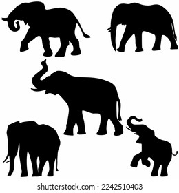 African elephant illustration vector icon