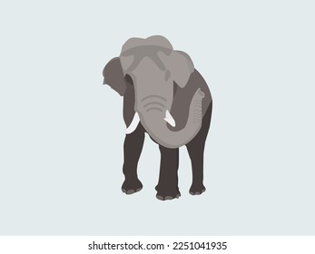 african elephant indian elephant graphy vector head lodge gray standing animals wild.