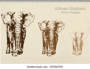 African Elephant ink stamp vector on textured sketchbook paper background. Front view, 3 kinds, prints well on paper.
