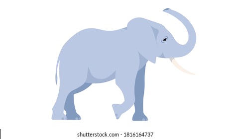 African Elephant. Large gray elephant stands with its trunk raised up. Realistic vector animal on white background. Modern illustration. 