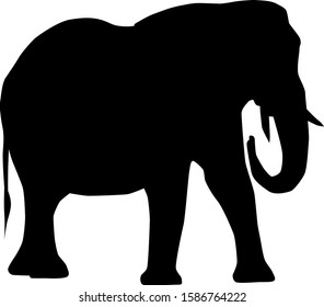 african elephant (Loxodonta) from side with trunk down and curled silhouette vector isolated on white background
