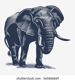 African elephant on the grass, in the blue color, illustration, vector