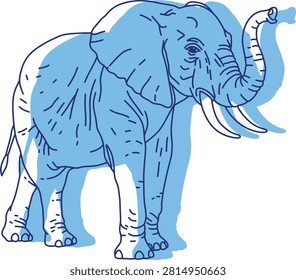 African Elephant with Raised Trunk, Line Sketch Illustration with Blue Shading