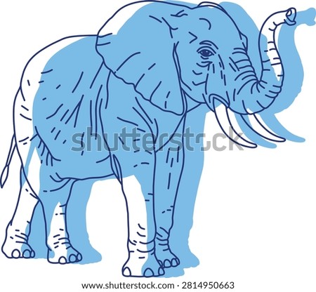 African Elephant with Raised Trunk, Line Sketch Illustration with Blue Shading