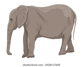 African elephant Realistic vector animal of Africa