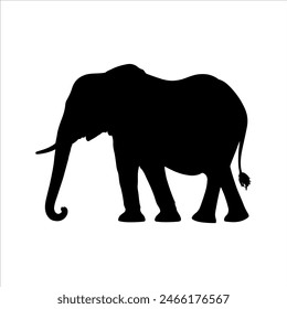 African elephant silhouette isolated on white background. Elephant icon vector illustration design.