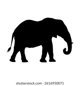  African elephant silhouette – vector illustration