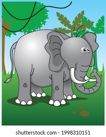 an african elephant that always nice