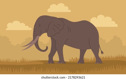 African elephant with trunk and tusks. Large herbivorous mammal. Zoo wild animal. Wild savanna landscape. Wildlife and zoo. Nature and fauna. Cartoon vector illustration