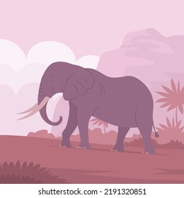 African elephant with trunk and tusks. Large herbivorous mammal. Zoo wild animal. Wild savanna landscape. Wildlife and zoo. Nature and fauna. Cartoon vector illustration