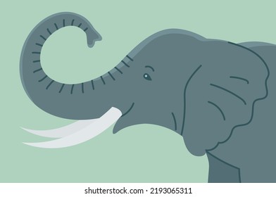 African elephant with tusks. Head portrait. Savannah wild animal. Large herbivorous mammal. Flat vector illustration