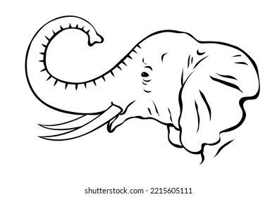 African elephant with tusks. Head portrait. Savannah wild animal. Large herbivorous mammal. Cartoon vector black and white illustration. Hand drawn outline sketch