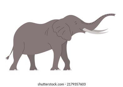 African elephant with tusks. Savannah wild animal. Large herbivorous mammal. Flat vector illustration isolated on white background