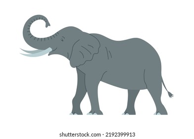 African elephant with tusks. Savannah wild animal. Large herbivorous mammal. Flat vector illustration isolated on white background