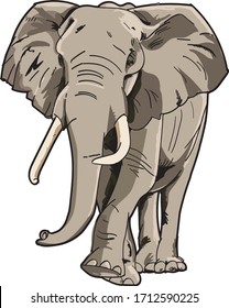 African Elephant Vector Art Sketch Drawing 