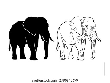 African elephant vector graphics with solid black shape and intricate line work. Powerful wildlife animal icons.