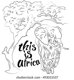 African Elephant. Vector illustration.