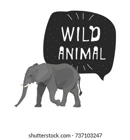 African elephant vector illustration with hand drawn banner 