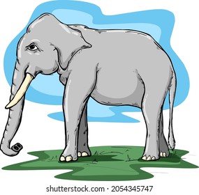African Elephant vector illustration.Elephant vector stock image
