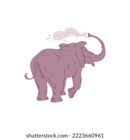 African elephant watering himself with water from his trunk, flat vector illustration isolated on white background. Elephant representative of African wildlife.