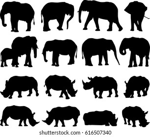 African elephant and white rhinoceros silhouette contour