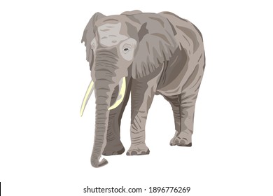 African Elephant. Wild animal. Hand drawn sketch on white background vector illustration.