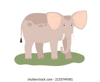 African elephant. Wild animal standing on grass. Exotic jungle mammal. Large tropical herbivore. Africa inhabitant. Flat vector illustration isolated on white background