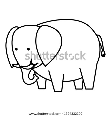 african elephant wild character