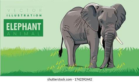 African Elephant,  Wildlife scene in nature habitat vector illustration