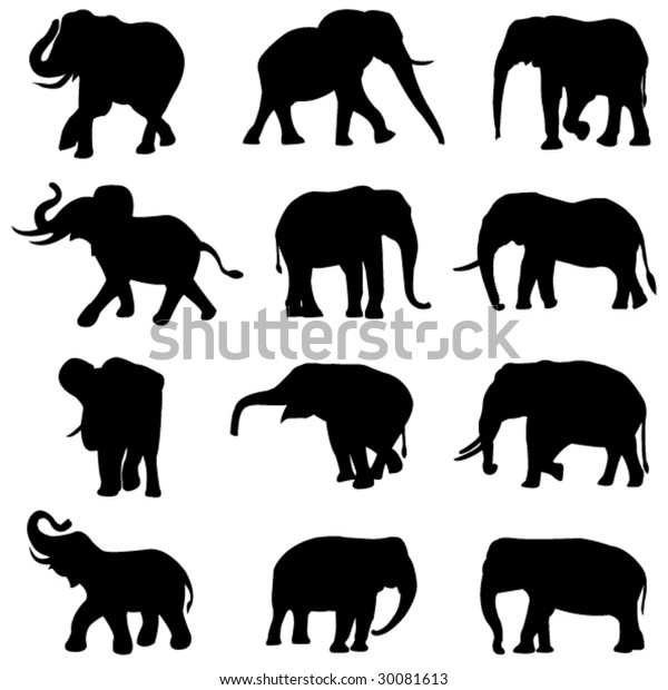 African Elephants Asian Elephants Stock Vector (Royalty Free) 30081613