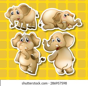 African elephants in different positions