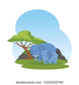 african elephants family in the savannah characters