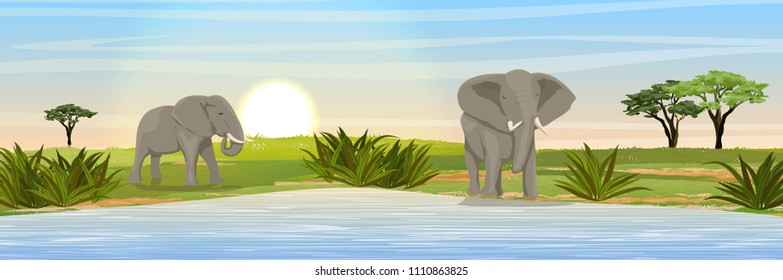 African elephants at the watering hole. Grass, a large lake, doum palm on the horizon. Realistic vector landscape. Nature and animals of Africa. Reserves and national parks.