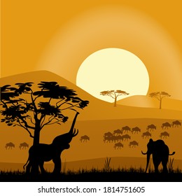 African elephants in the wild. Beautiful Africa