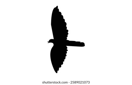 African emerald cuckoo bird Silhouette Design  And Vector Illustration. 