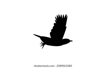 African emerald cuckoo bird Silhouette Design  And Vector Illustration. 