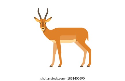 African eurasian wild animal antelope impala flat style vector illustration isolated on white background 