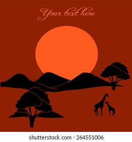  African evening savanna