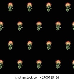 African exotic flowers branch. Detailed editable illustration. Red yellow exotic flowers on black background.