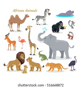 African fauna species. Cute african animals flat vector. Southern predators. Camel, zebra, rhino, gorilla, koala, deer, flamingo, giraffe, elephant, crocodile, tiger, lion, lion, cheetah, ostrich